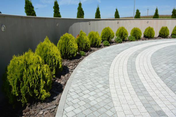 Best Professional Driveway Pavers  in El Jon, CA